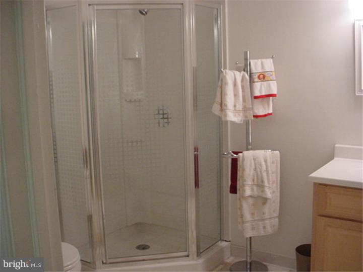 2316 Conestoga Road Chester Springs, PA 19425 - Photo 10 of 22 Bathroom