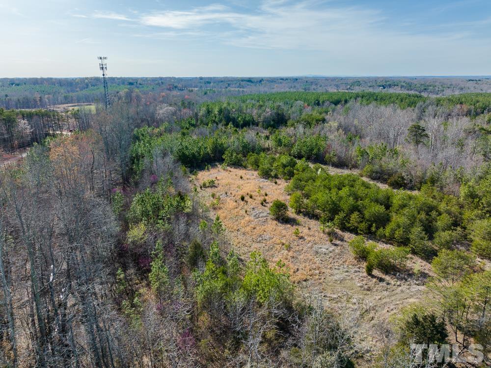 0 Jeffries Road Pelham, NC 27311 - Photo 12 of 52 Gallery Image 12