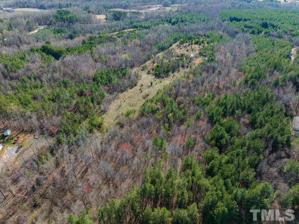 0 Jeffries Road Pelham, NC 27311 - Photo 13 of 52 Gallery Image 13
