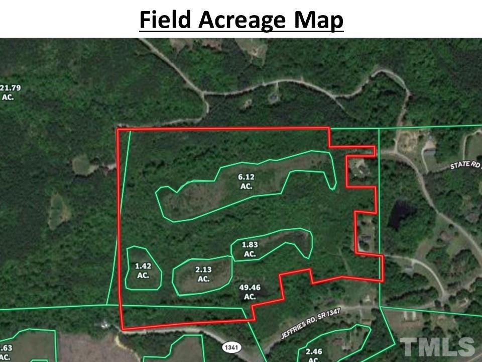 0 Jeffries Road Pelham, NC 27311 - Photo 14 of 52 Gallery Image 14
