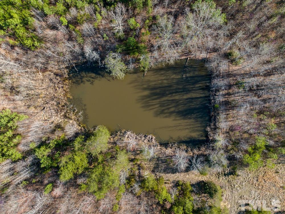 0 Jeffries Road Pelham, NC 27311 - Photo 16 of 52 Gallery Image 16