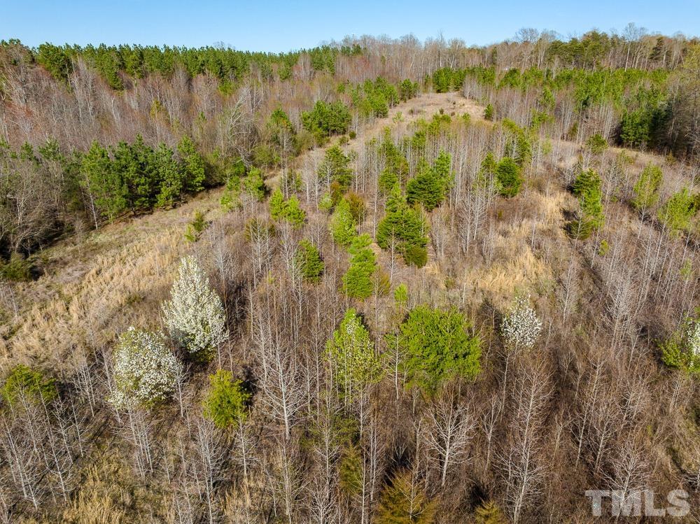 0 Jeffries Road Pelham, NC 27311 - Photo 27 of 52 Gallery Image 27