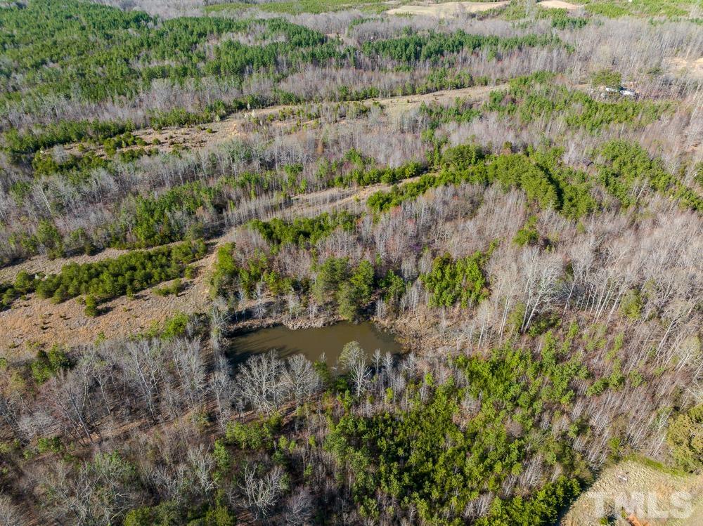 0 Jeffries Road Pelham, NC 27311 - Photo 38 of 52 Gallery Image 38