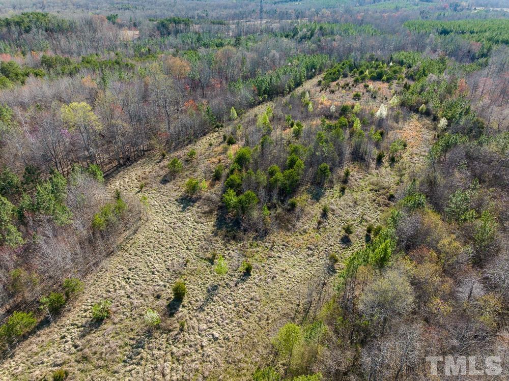 0 Jeffries Road Pelham, NC 27311 - Photo 7 of 52 Gallery Image 7
