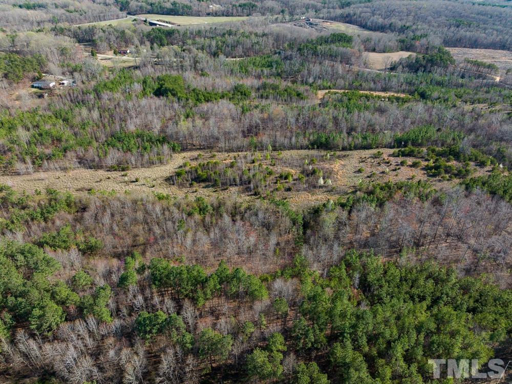 0 Jeffries Road Pelham, NC 27311 - Photo 8 of 52 Gallery Image 8