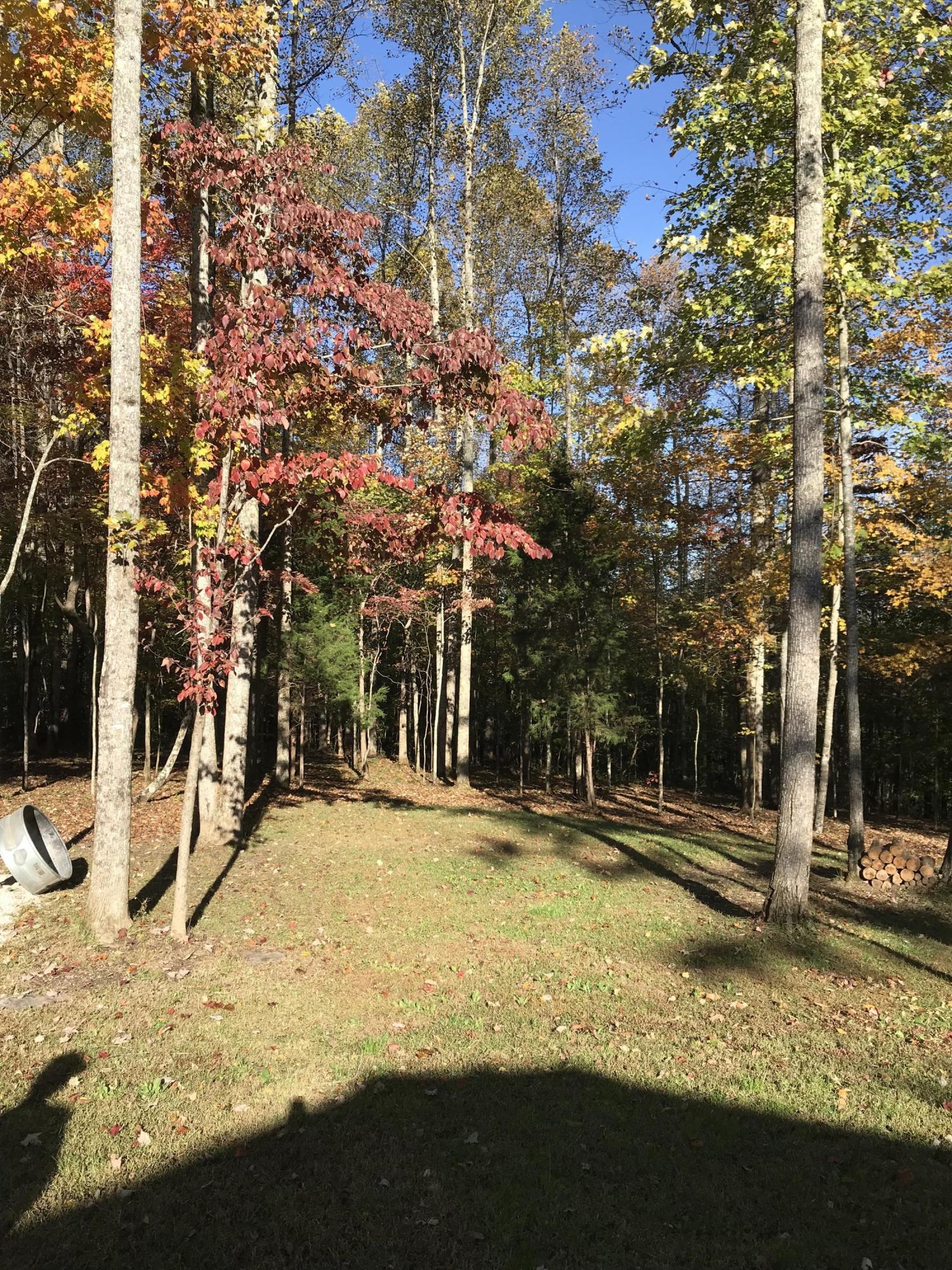 2446 Poplar Springs Road Liberty, KY 42539 - Photo 16 of 19 IMG_3493