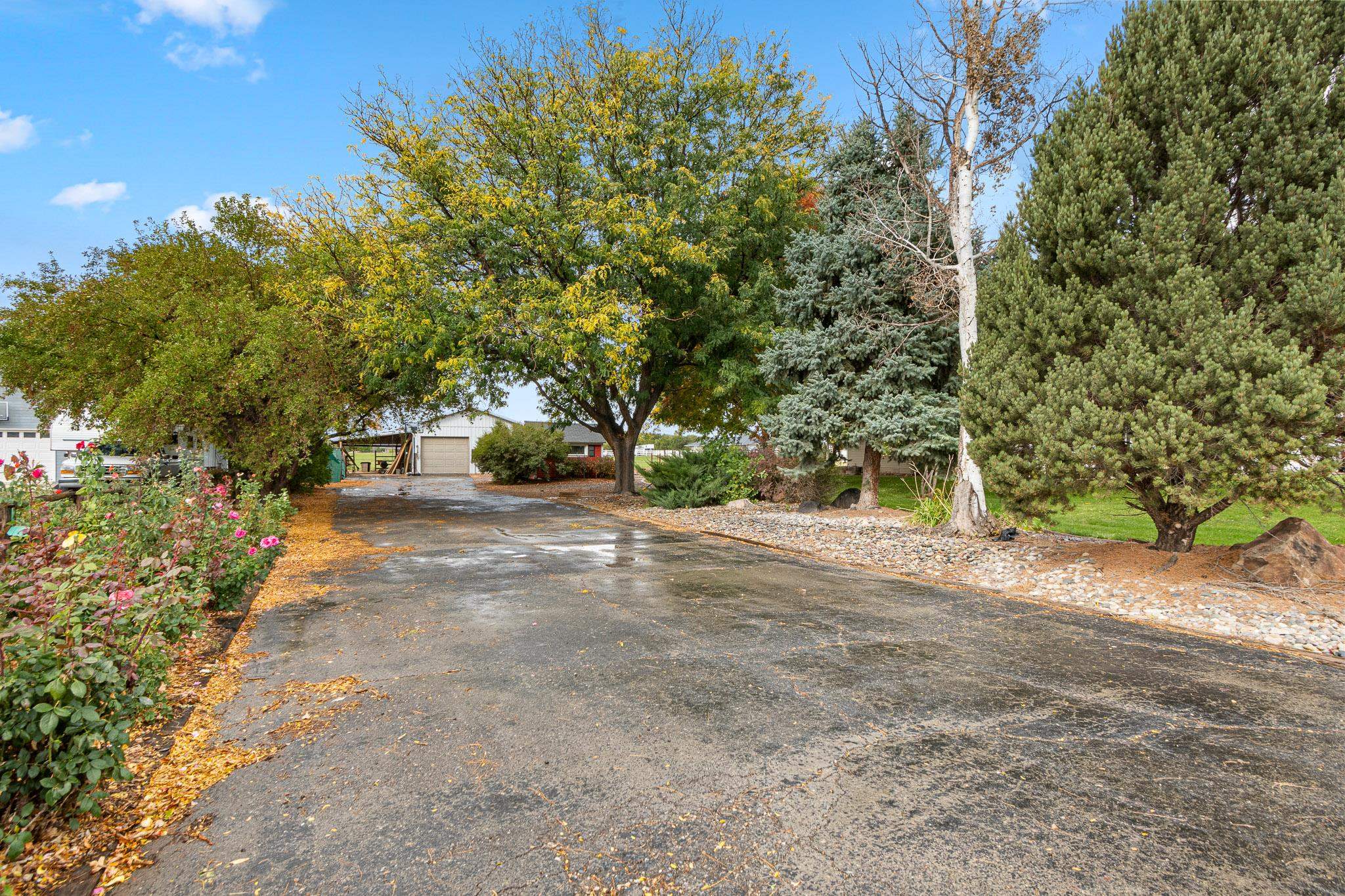 1185-17 17 1/2 Road Fruita, CO 81521 - Photo 30 of 35 a view of road with large trees