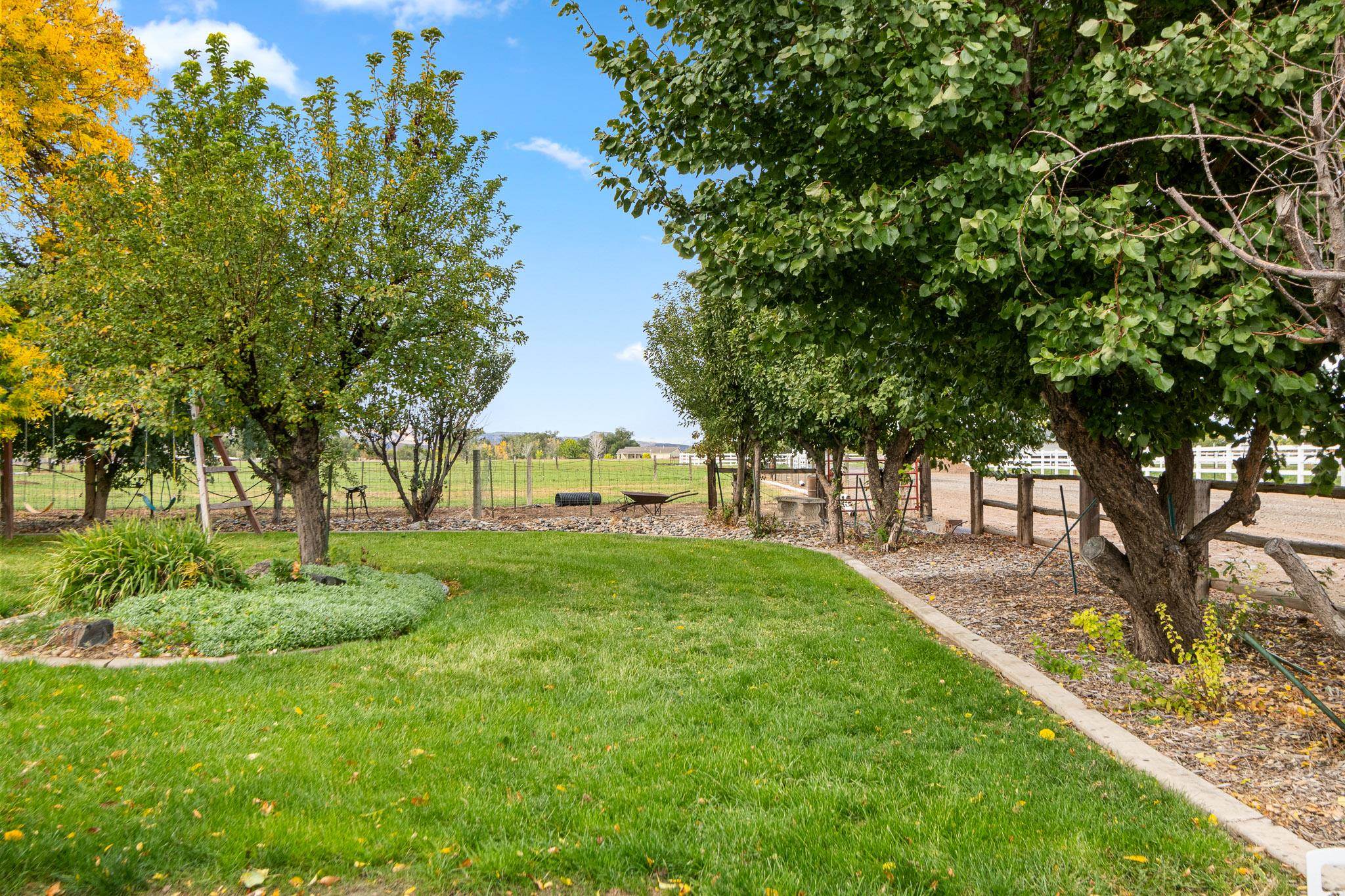 1185-17 17 1/2 Road Fruita, CO 81521 - Photo 33 of 35 a view of a house with a yard