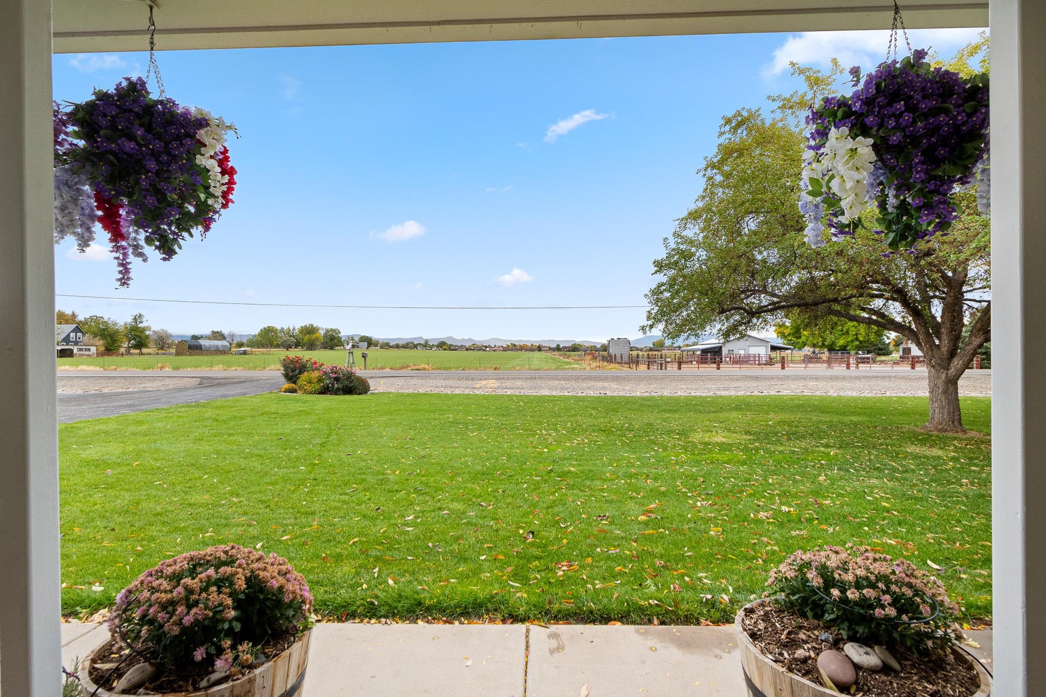 1185-17 17 1/2 Road Fruita, CO 81521 - Photo 4 of 35 a view of a yard with an outdoor space