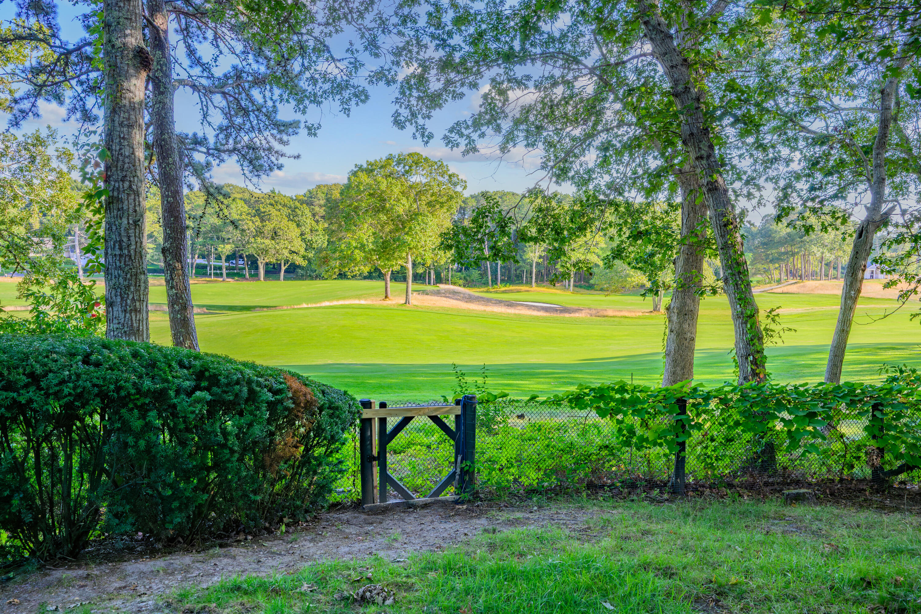 245 North Bay Road Osterville, MA 02655 - Photo 41 of 50 a view of a big yard with a fountain