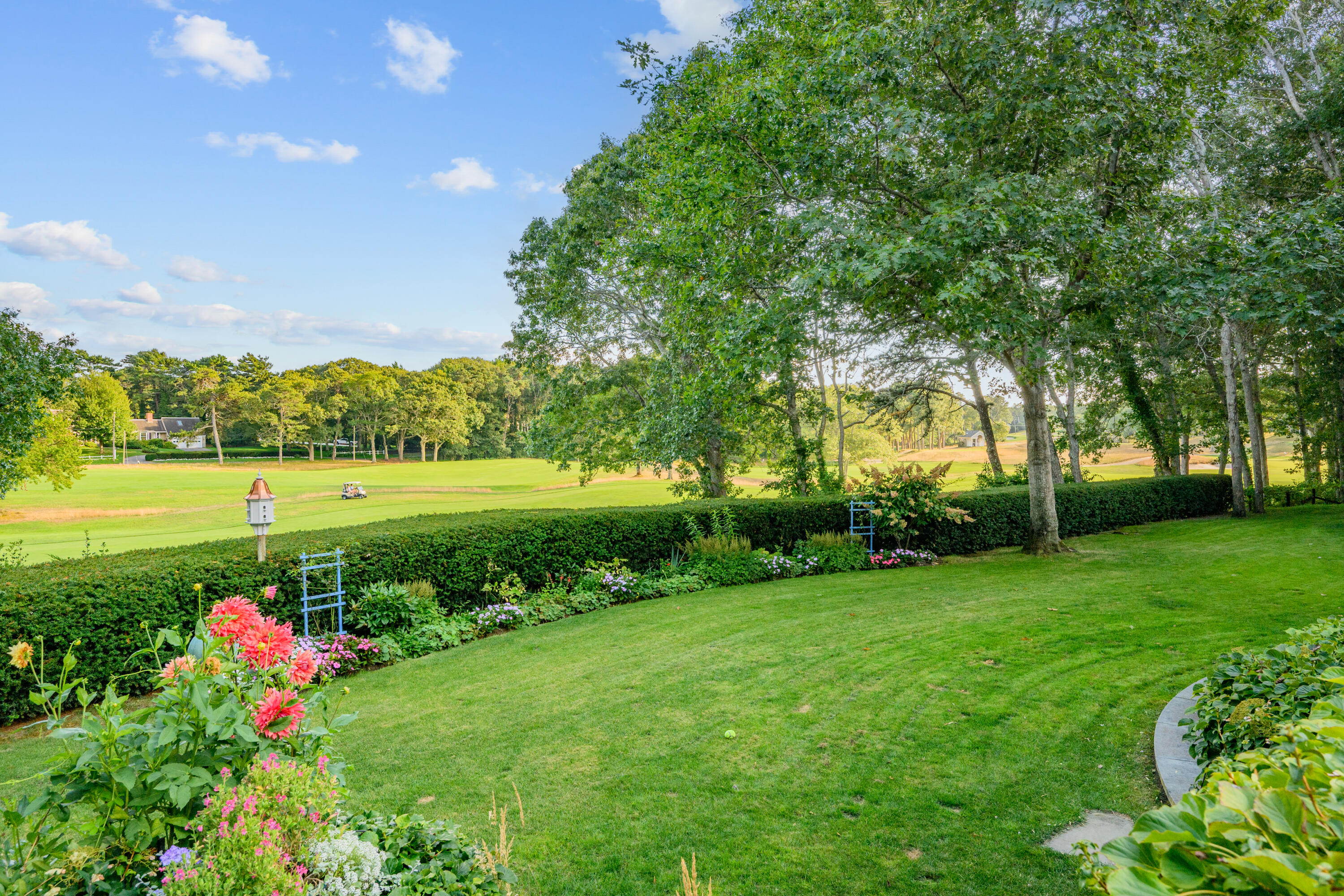 245 North Bay Road Osterville, MA 02655 - Photo 8 of 50 a view of a garden with an outdoor space