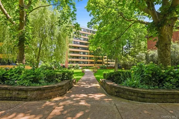 a view of a garden with plants