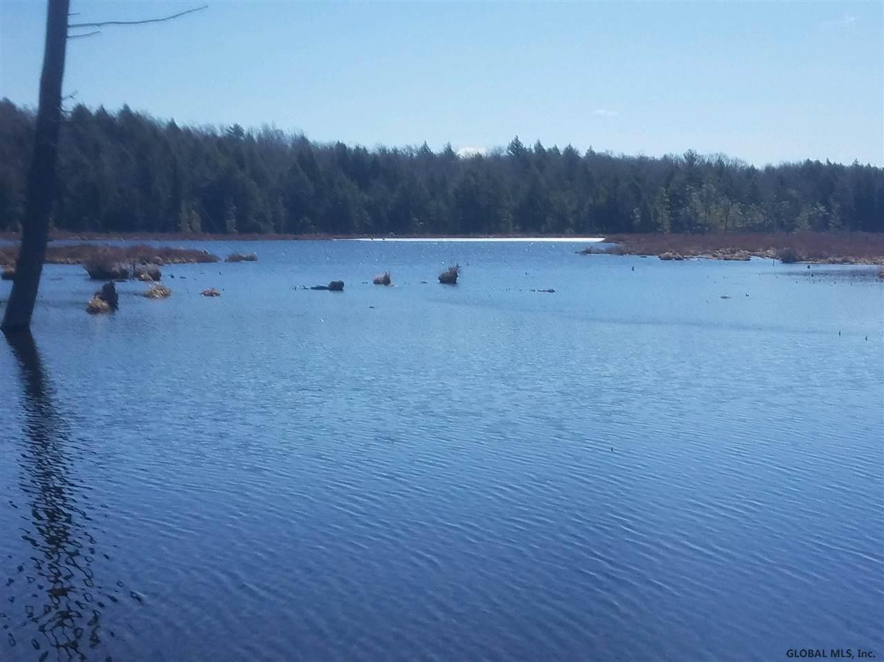 140 Red Pond Road Petersburgh, NY 12138 - Photo 3 of 3 Photo 3
