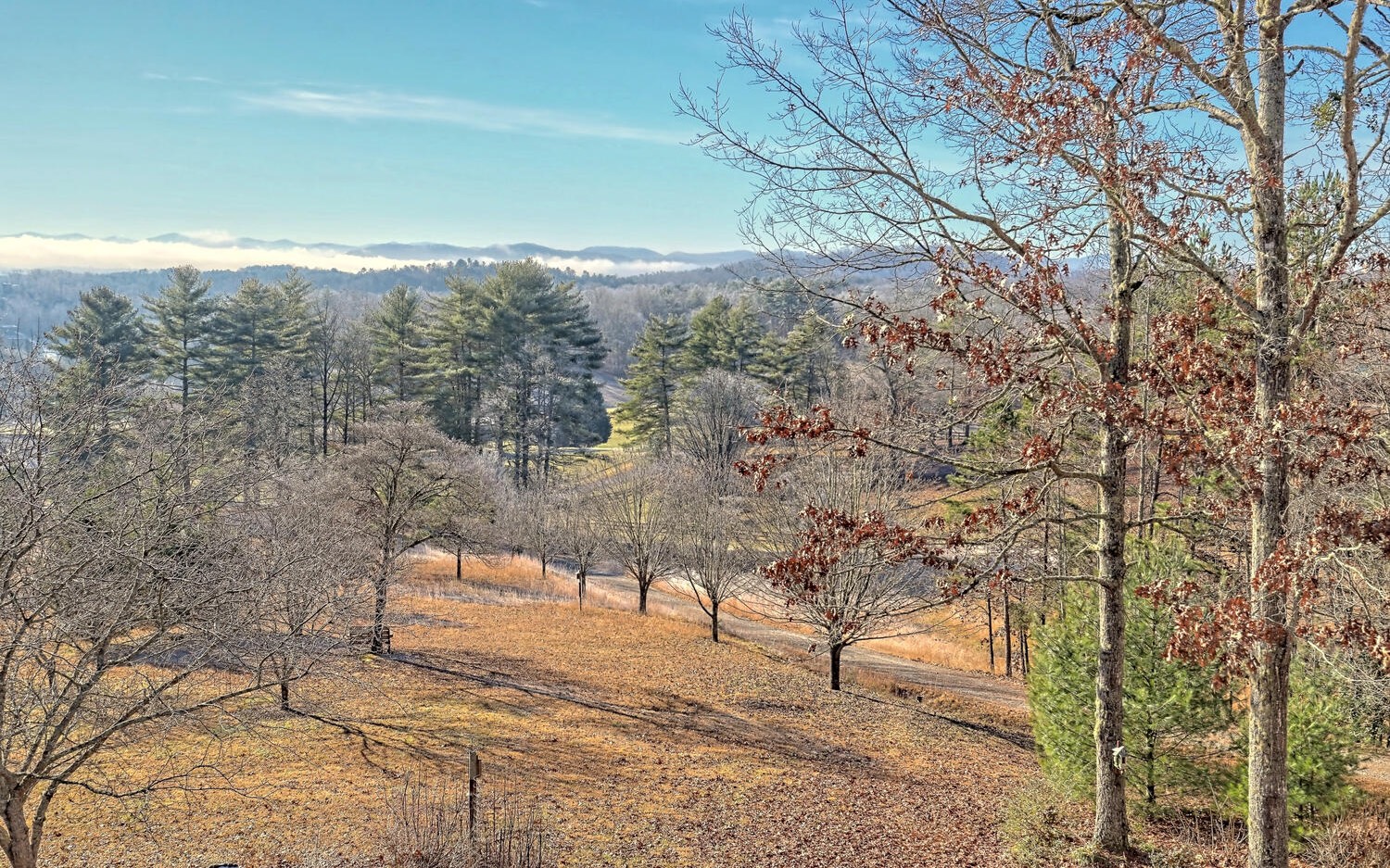 719 Graham Road Murphy, NC 28906 - Photo 12 of 43 Additional View