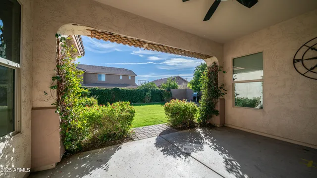 a view of a small garden