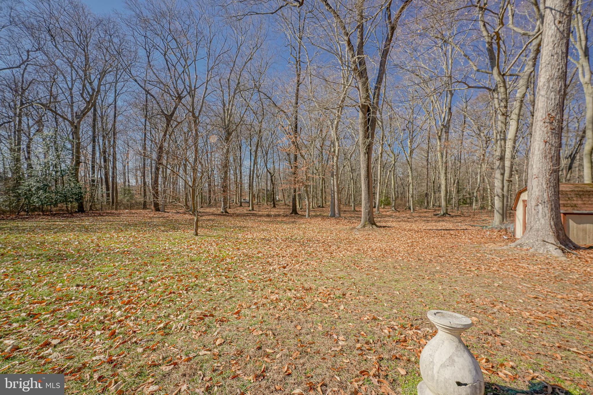 164 Kings Road Westampton, NJ 08060 - Photo 37 of 52