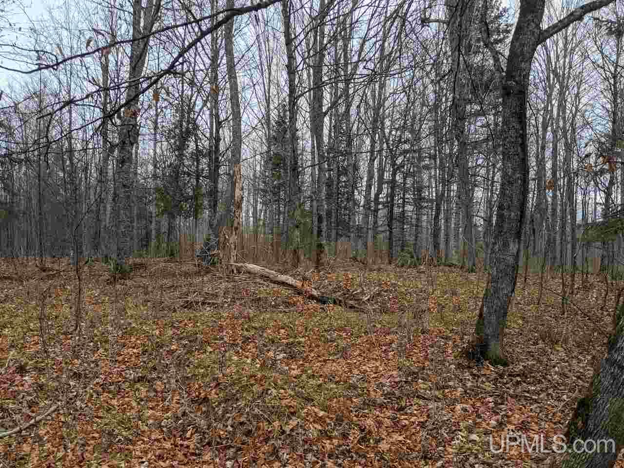 Tbd Tbd Unnamed Road Cornell, MI 49818 - Photo 4 of 10