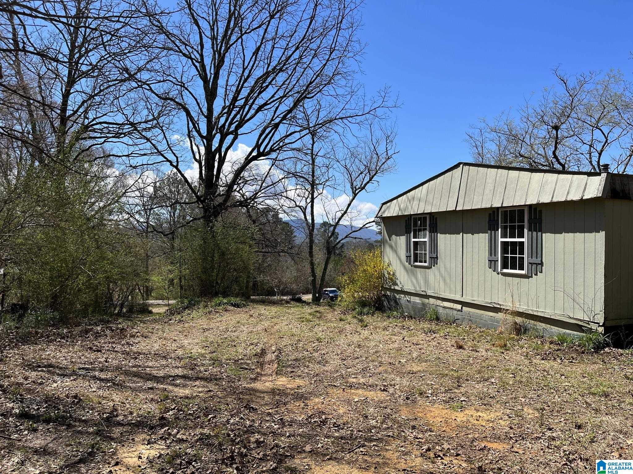 150 Wilson Mine Road, Unit 910 Piedmont, AL 36272 - Photo 24 of 36