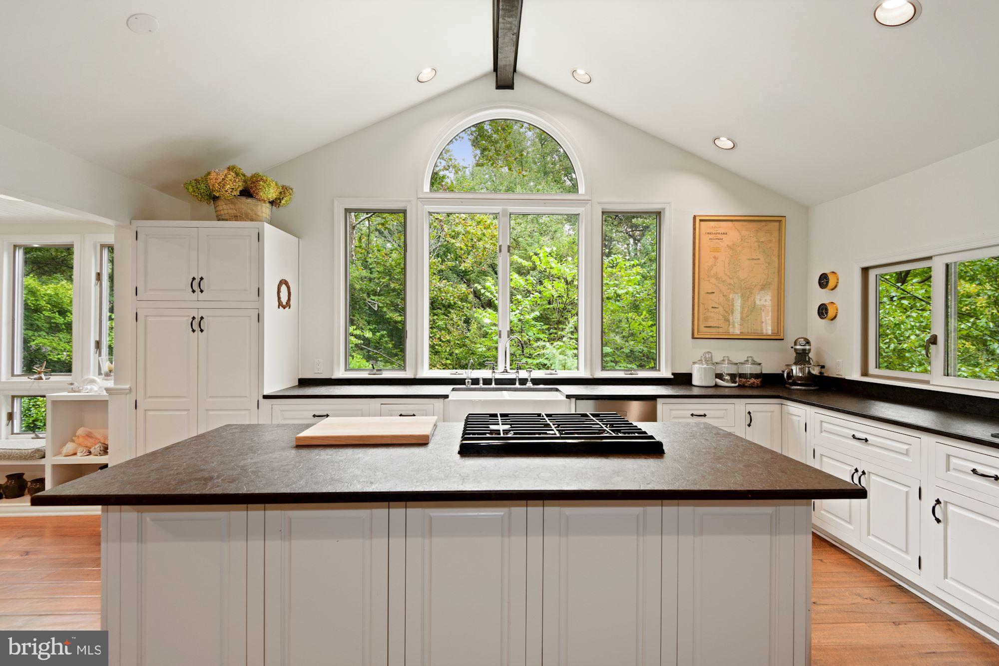 1710 Robinhood Road Annapolis, MD 21401 - Photo 6 of 54 Beautiful Views into Nature