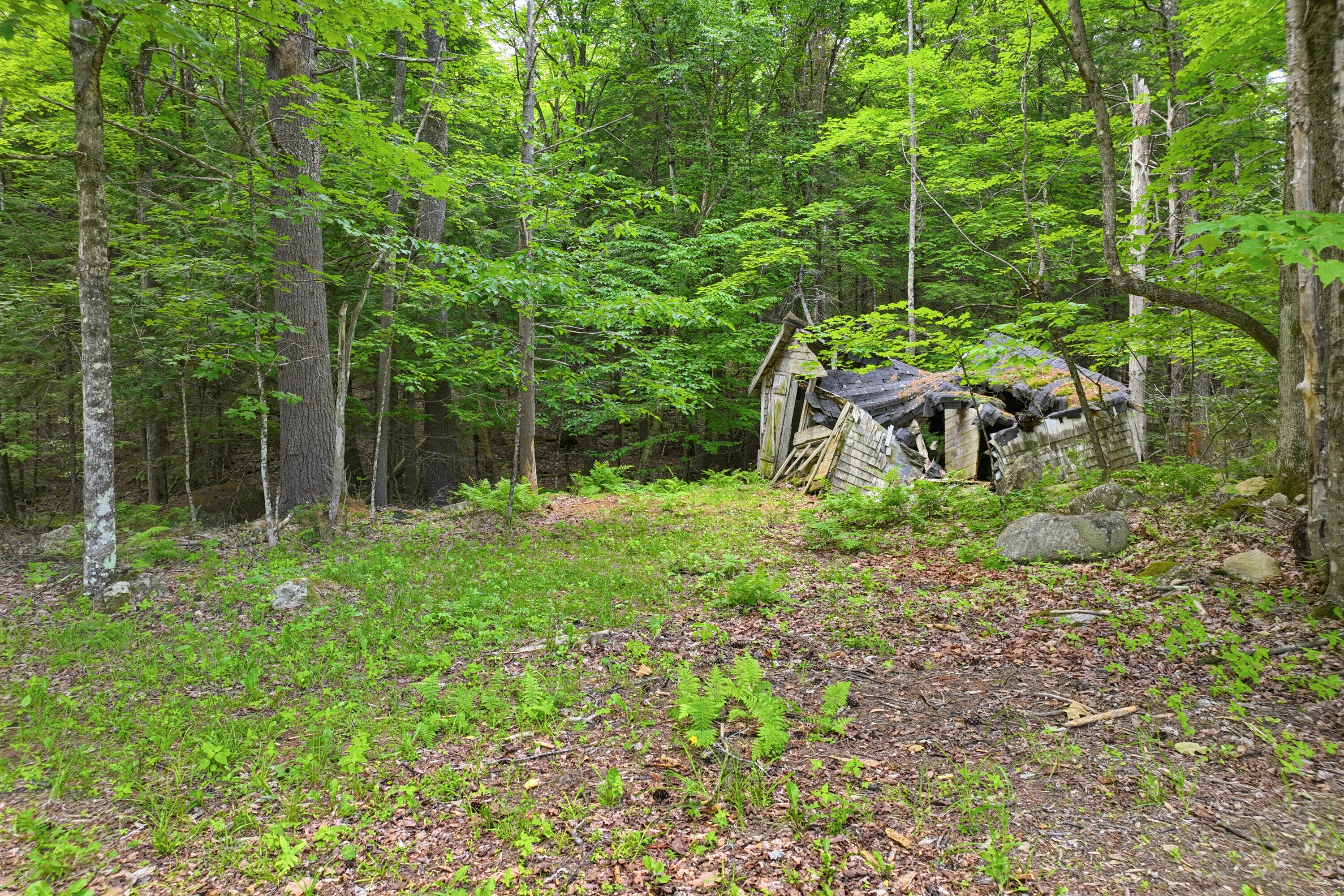 68 Bean Family Road New Gloucester, ME 04260 - Photo 21 of 35 DBT Bean Family Rd-04