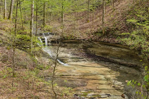 $11,999,000 | 3105 Coy Hill Road, Olivehill, TN 38475