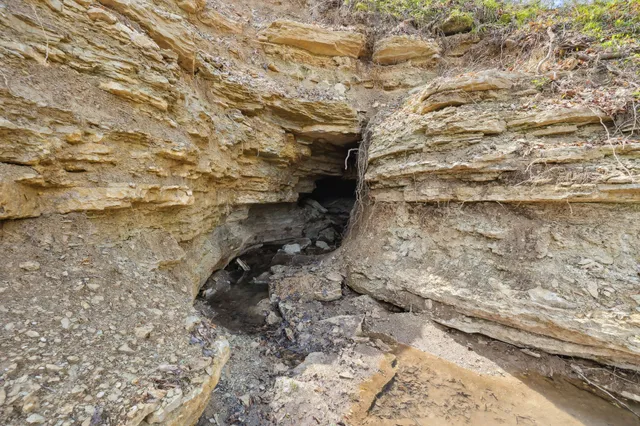 $12,499,000 | 3105 Coy Hill Road, Olivehill, TN 38475