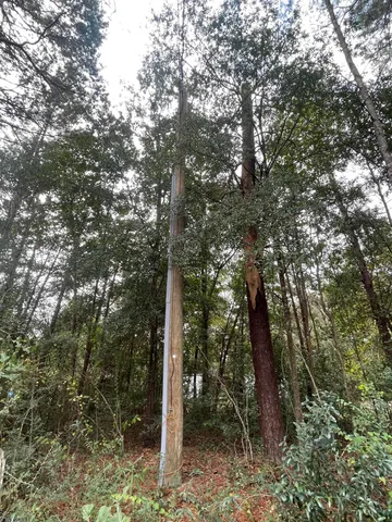 a view of a wooden floor