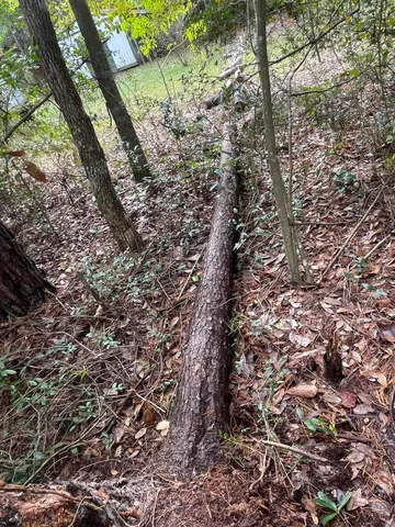 $30,000 | Lot 123 Eagle Court, Crestview, FL 32539