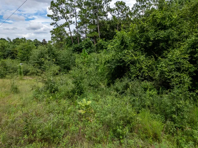 an aerial view of residential house with outdoor space and trees all around