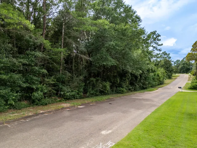 a view of a field with plants and trees