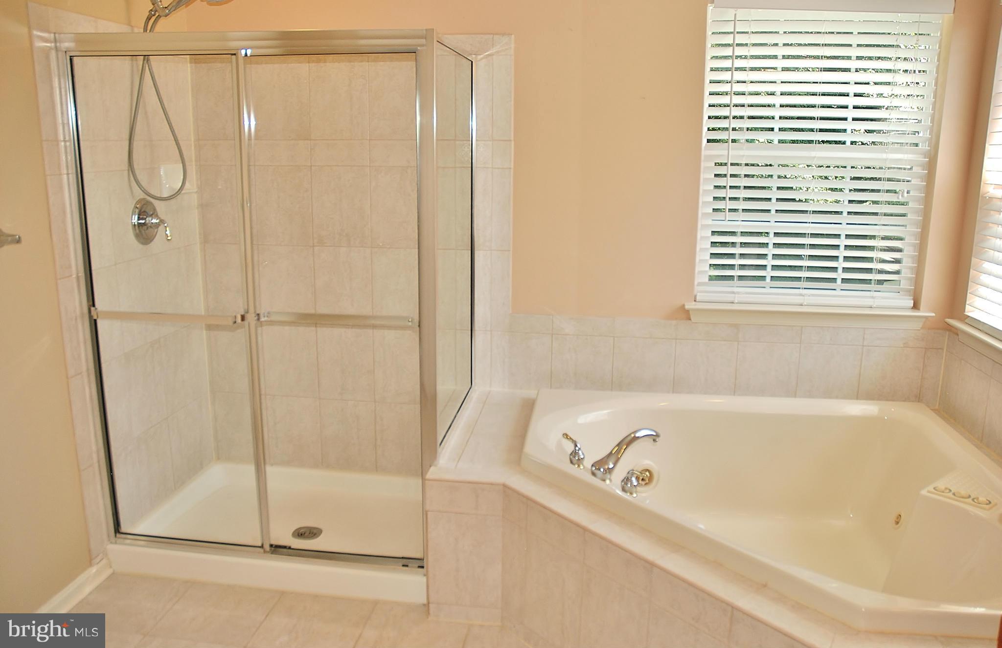 18256 Wickham Road Olney, MD 20832 - Photo 13 of 30 Bath (Master)