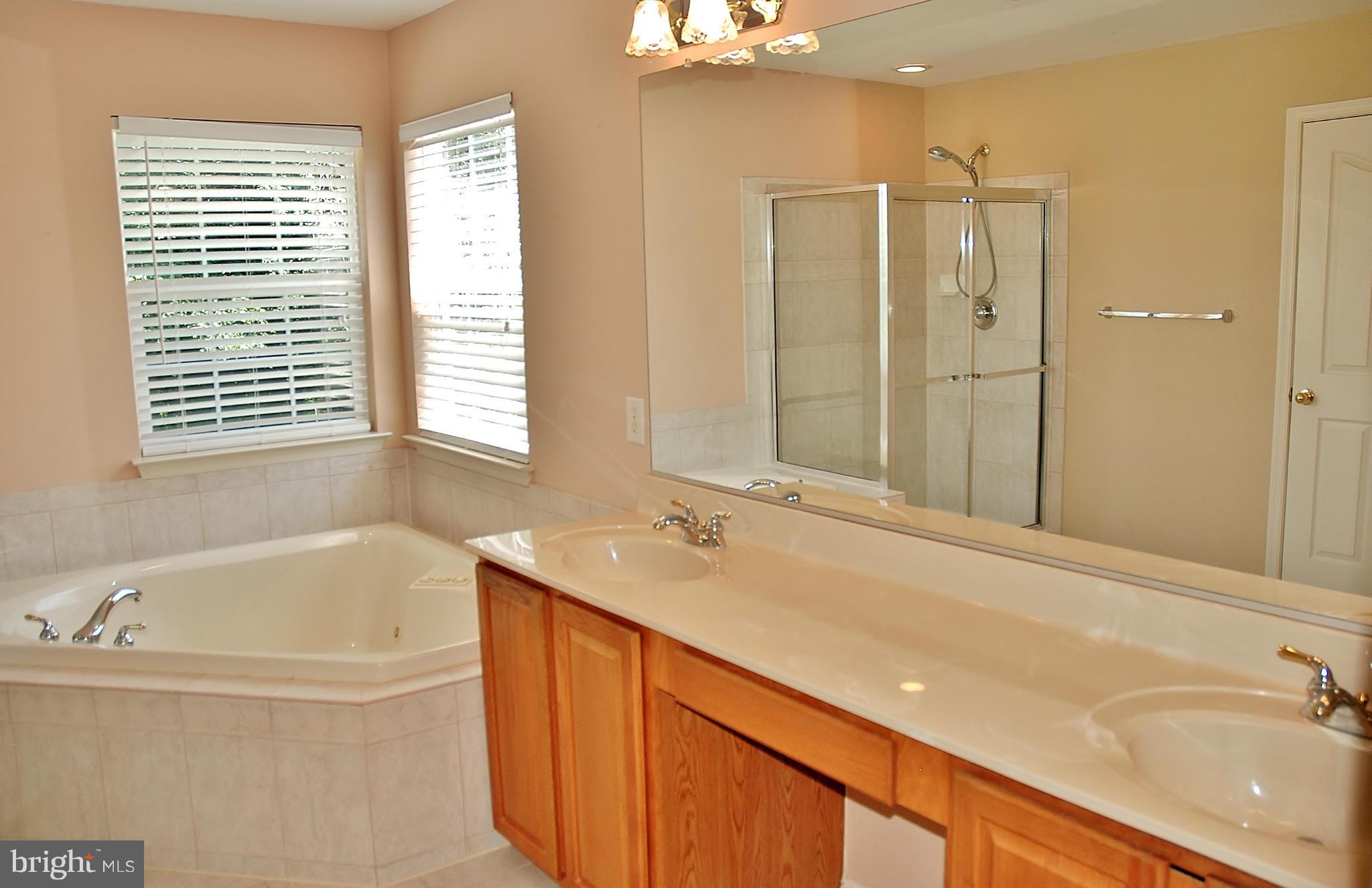 18256 Wickham Road Olney, MD 20832 - Photo 14 of 30 Bath (Master)