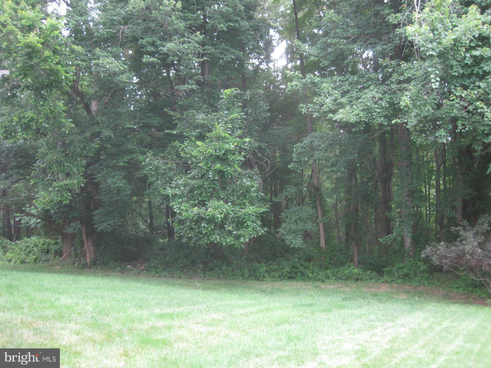 18256 Wickham Road Olney, MD 20832 - Photo 23 of 30 Level Backyard facing woods