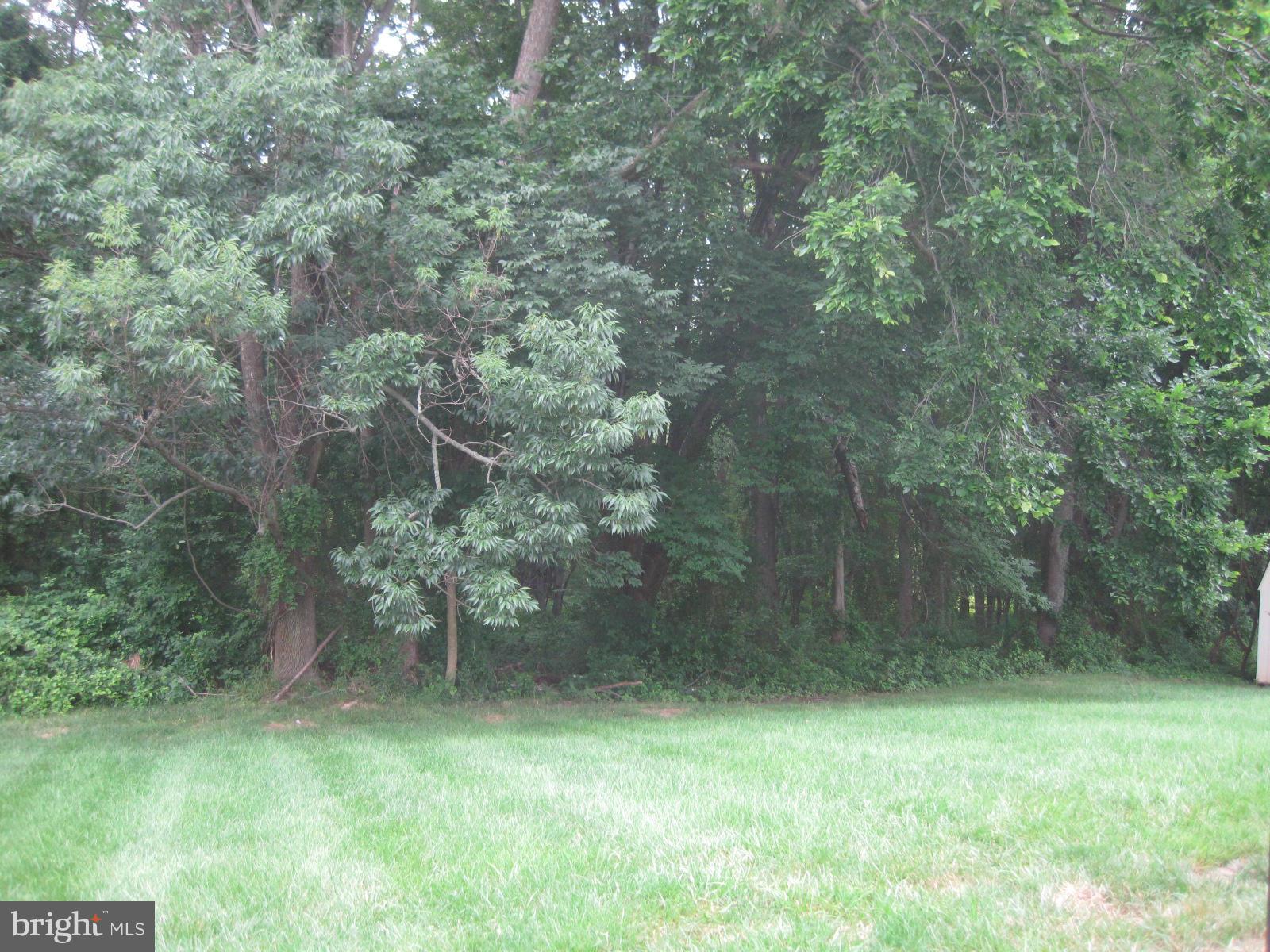 18256 Wickham Road Olney, MD 20832 - Photo 24 of 30 Backyard