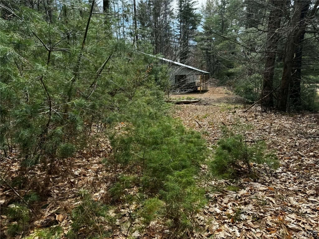 9249 Elpis Road Vienna, NY 13316 - Photo 11 of 17