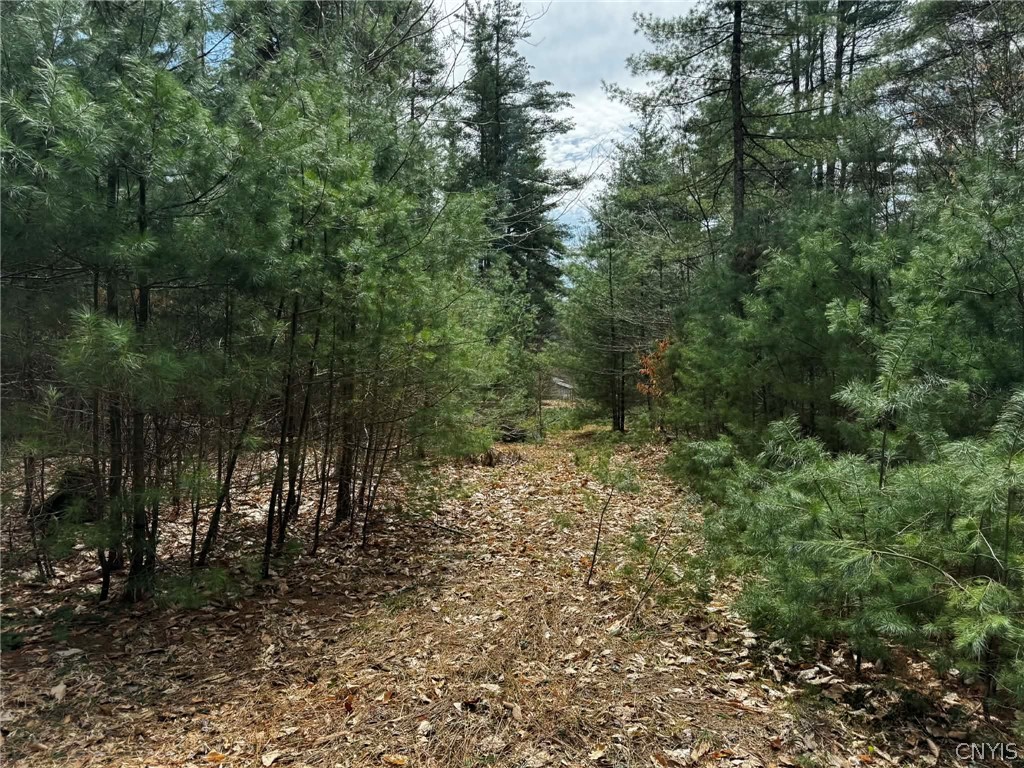 9249 Elpis Road Vienna, NY 13316 - Photo 12 of 17