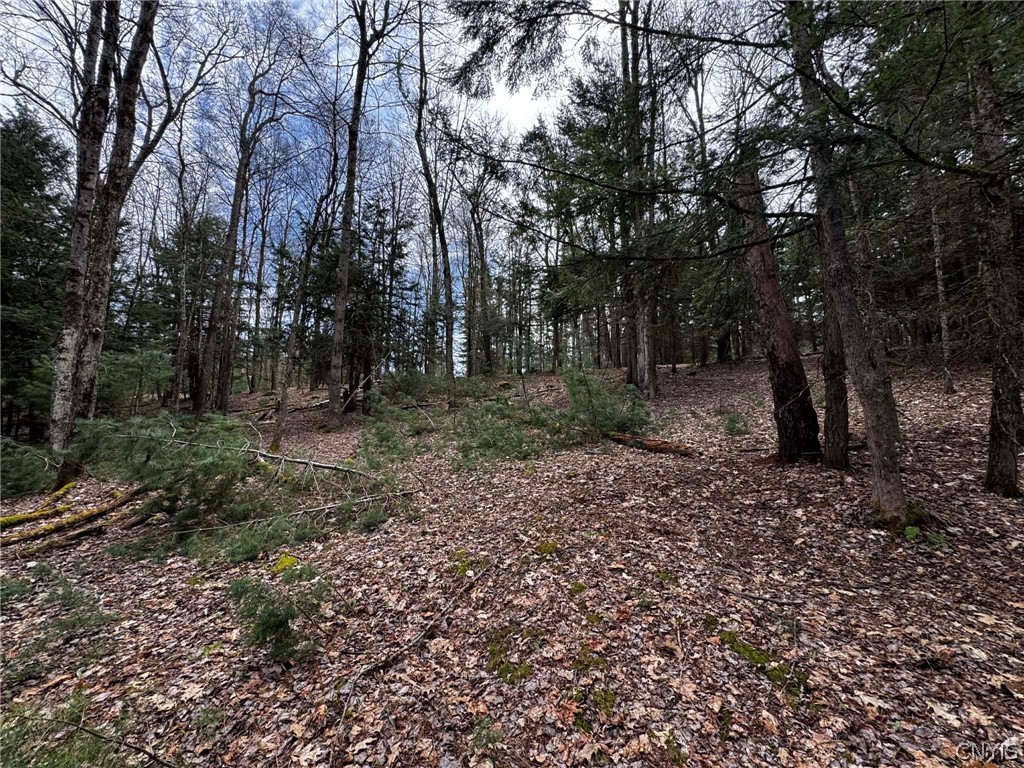9249 Elpis Road Vienna, NY 13316 - Photo 13 of 17