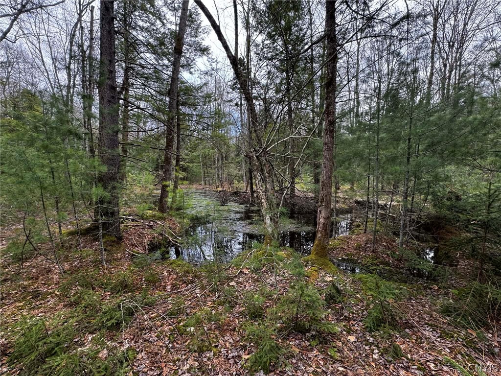 9249 Elpis Road Vienna, NY 13316 - Photo 15 of 17