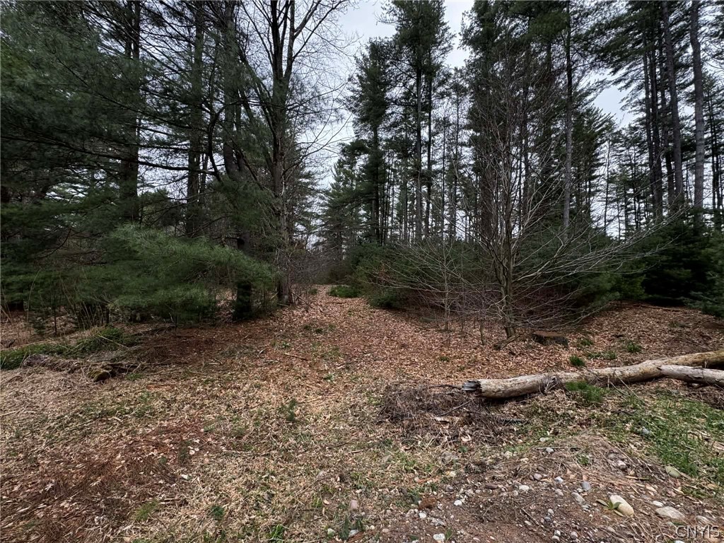 9249 Elpis Road Vienna, NY 13316 - Photo 8 of 17