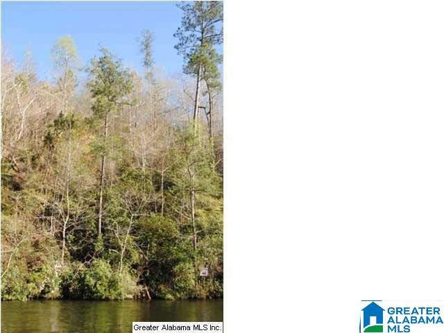 5 Wilson Road, Unit LOT 5 Calera, AL 35040 - Photo 2 of 3