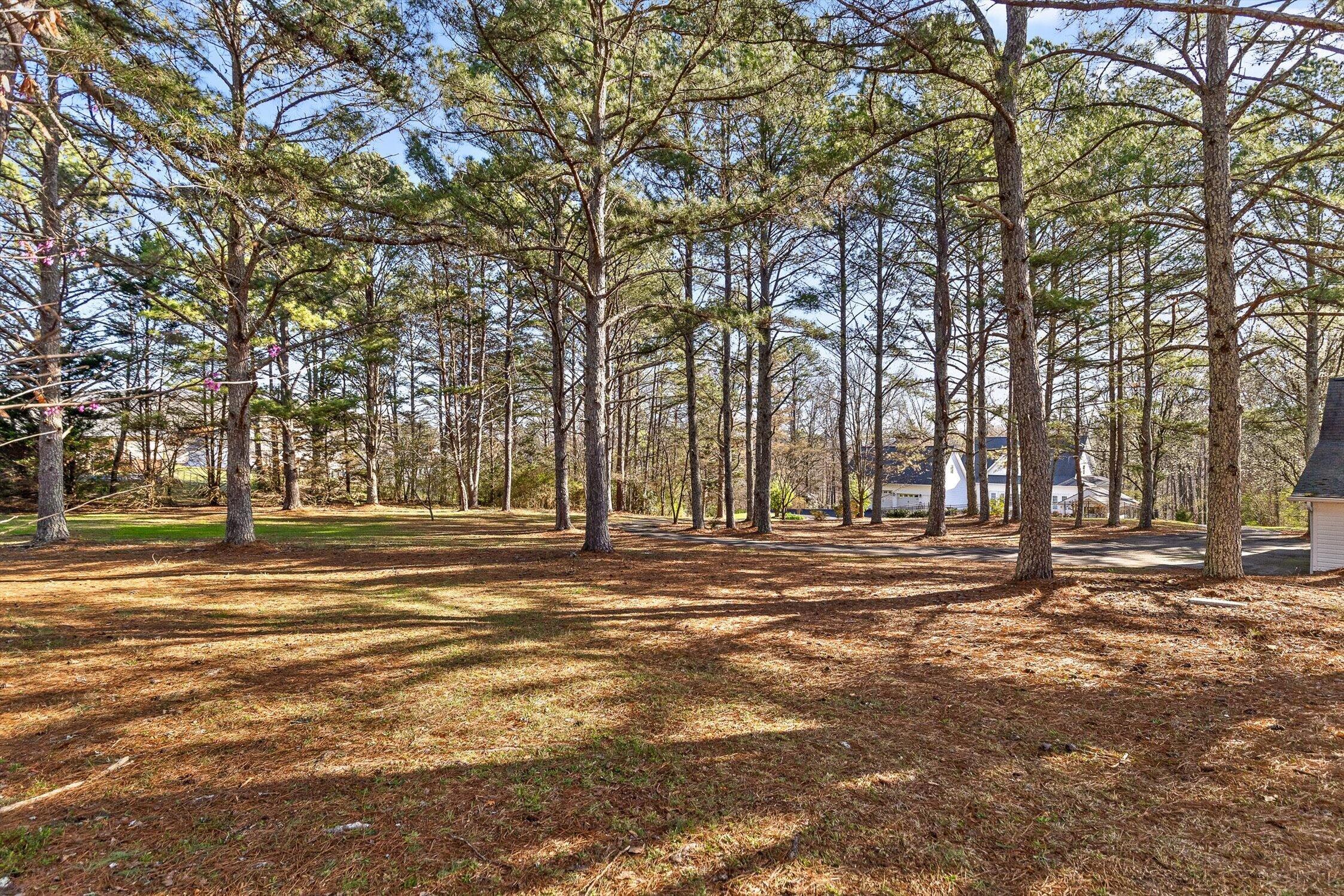 895 Ross Hollow Road Ringgold, GA 30736 - Photo 5 of 92 22-Ross Hollow-22