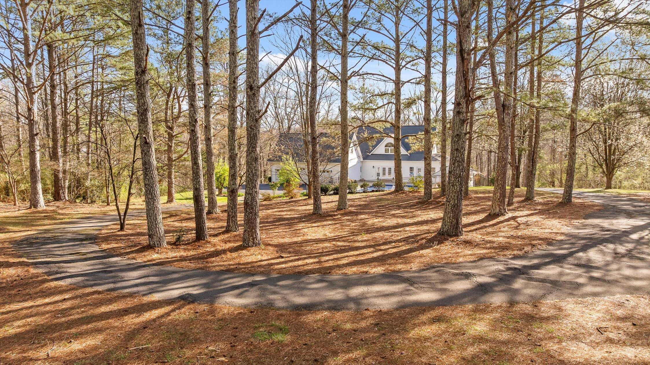 895 Ross Hollow Road Ringgold, GA 30736 - Photo 6 of 92 36-Ross Hollow-36