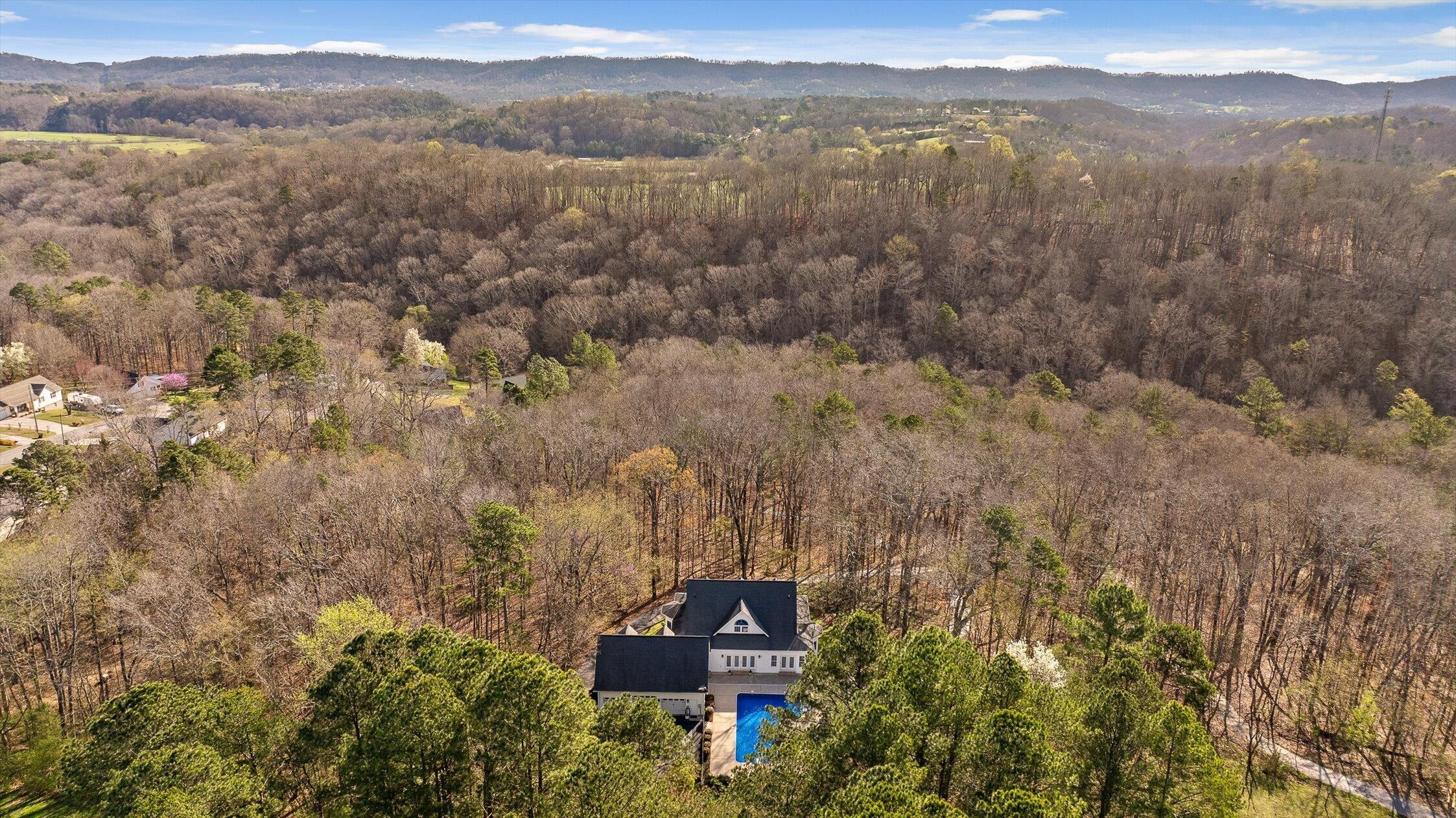 895 Ross Hollow Road Ringgold, GA 30736 - Photo 7 of 92 31-Ross Hollow-31