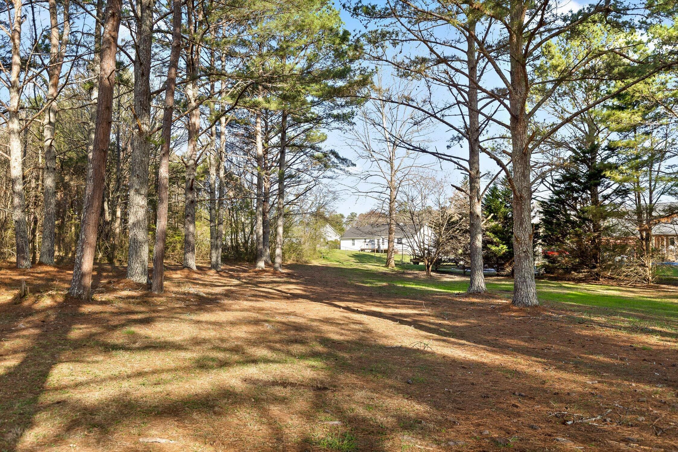 895 Ross Hollow Road Ringgold, GA 30736 - Photo 74 of 92 18-Ross Hollow-18