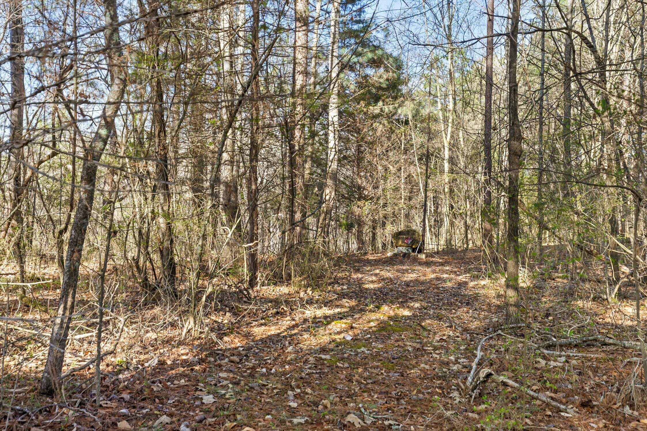 895 Ross Hollow Road Ringgold, GA 30736 - Photo 75 of 92 19-Ross Hollow-19