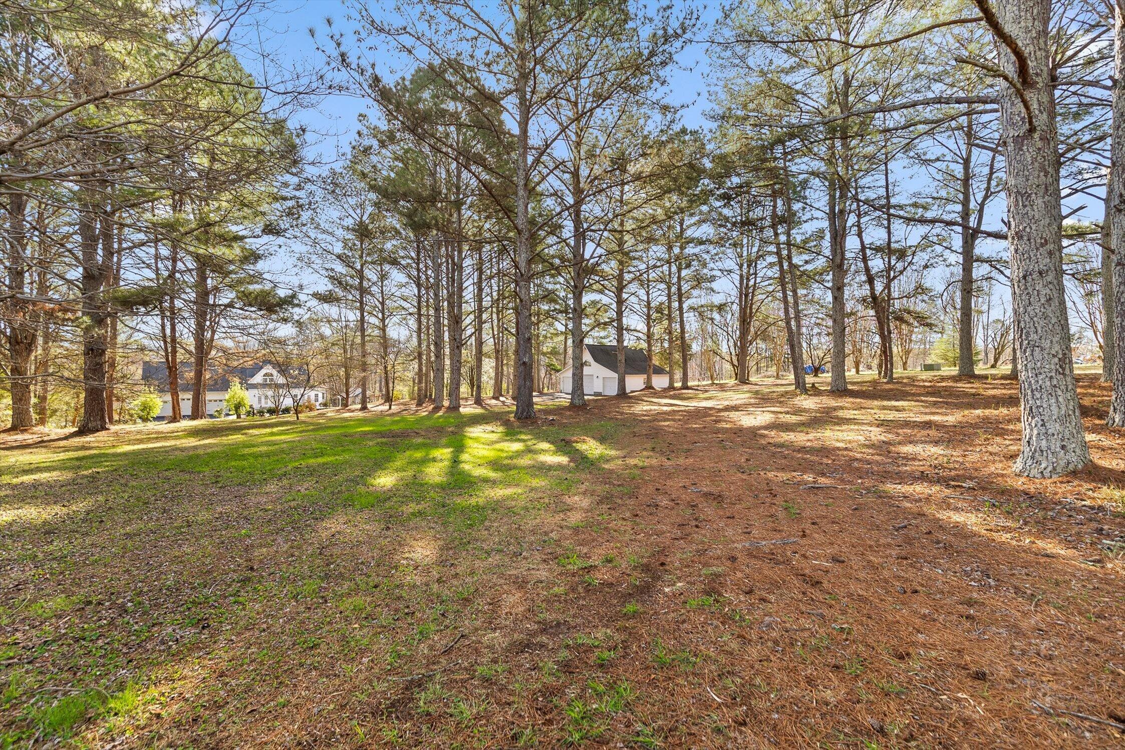 895 Ross Hollow Road Ringgold, GA 30736 - Photo 77 of 92 21-Ross Hollow-21