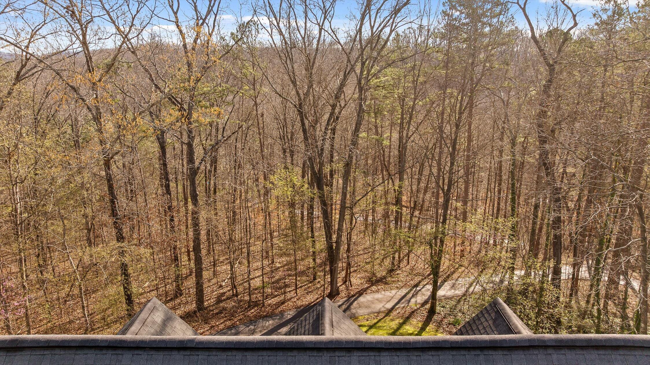 895 Ross Hollow Road Ringgold, GA 30736 - Photo 84 of 92 38-Ross Hollow-38