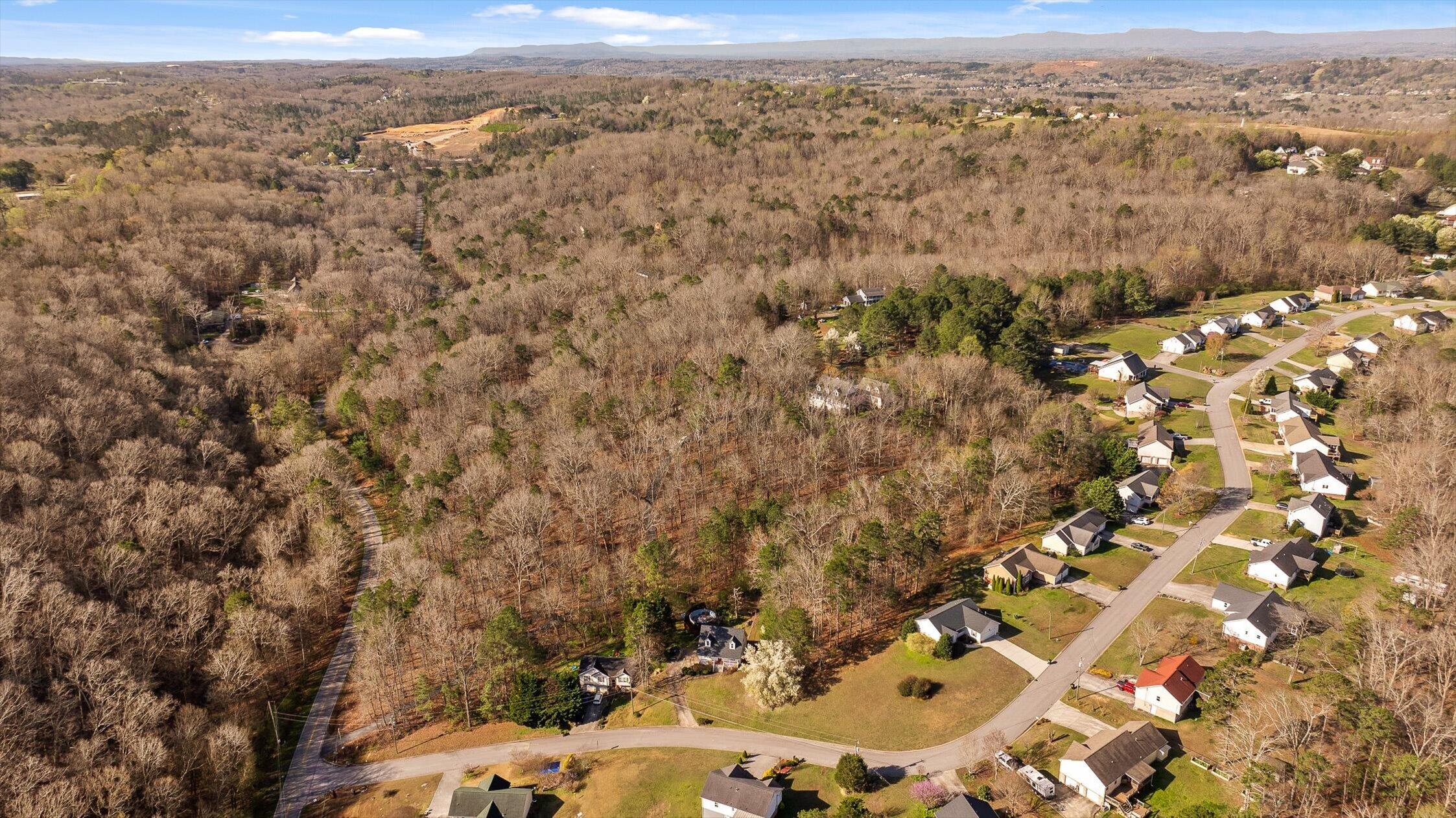 895 Ross Hollow Road Ringgold, GA 30736 - Photo 85 of 92 25-Ross Hollow-25