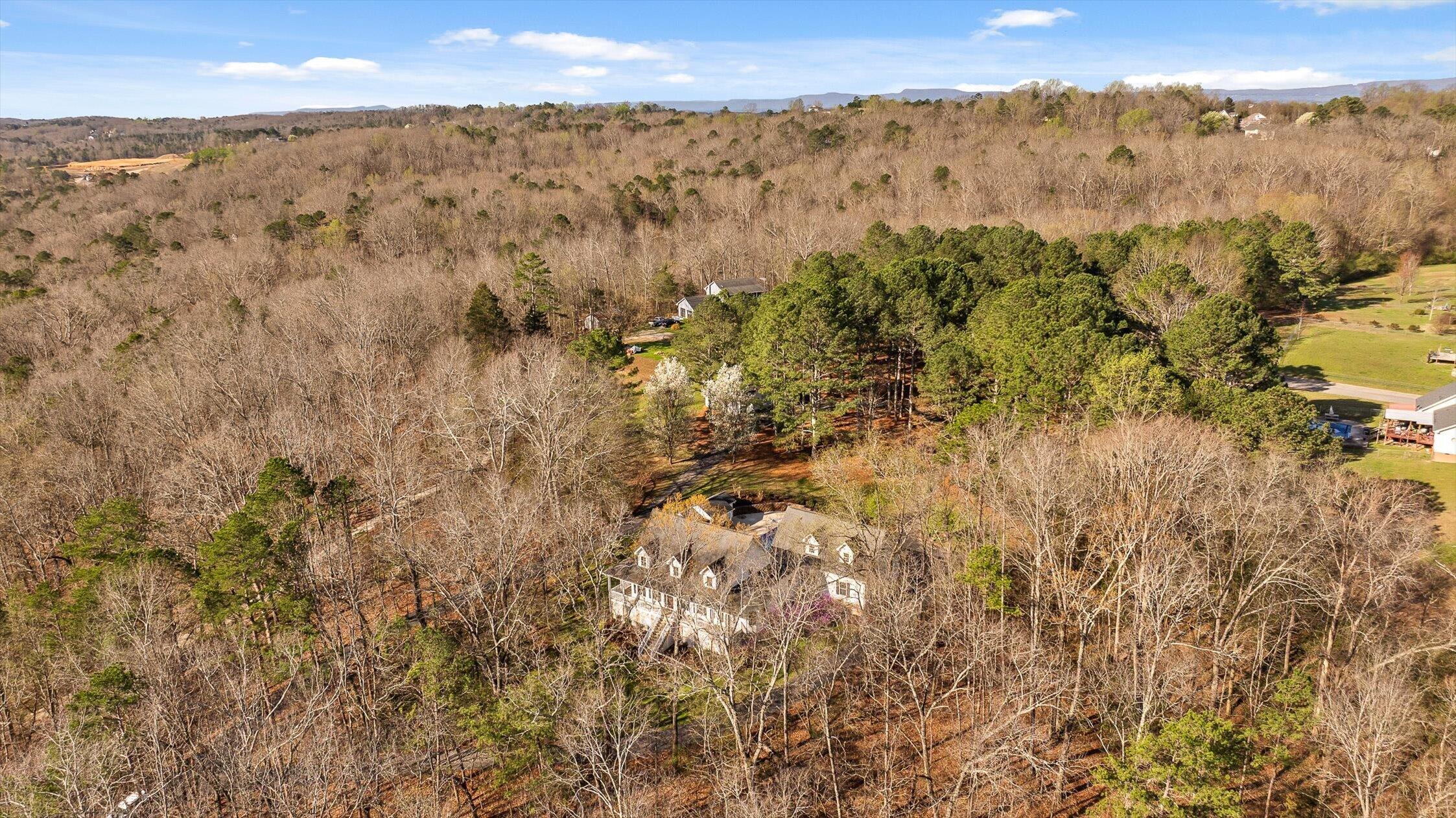 895 Ross Hollow Road Ringgold, GA 30736 - Photo 86 of 92 26-Ross Hollow-26