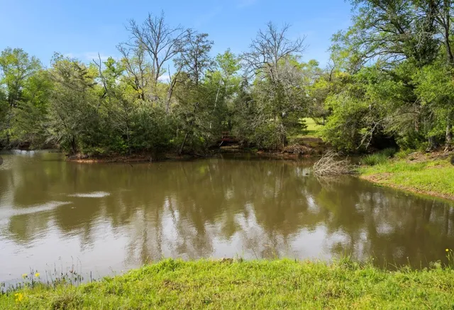 a view of a lake from a yard